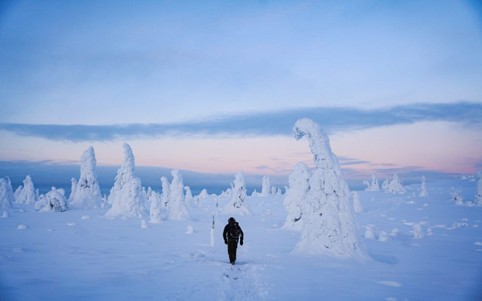 Arctic adventure through the magical frozen forests of Riisitunturi tour