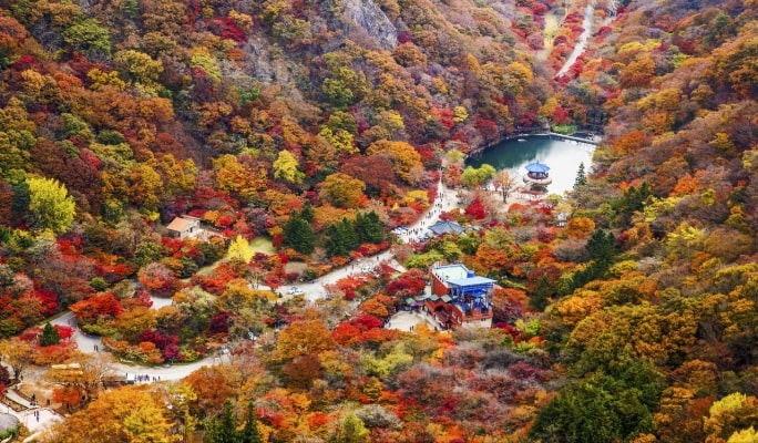 逃離城市,走進如畫般的秋日美景——韓國標誌性的賞楓體驗正等著您! 逃離城市,走進如畫般的秋日美景——韓國標誌性的賞楓體驗正等著您!