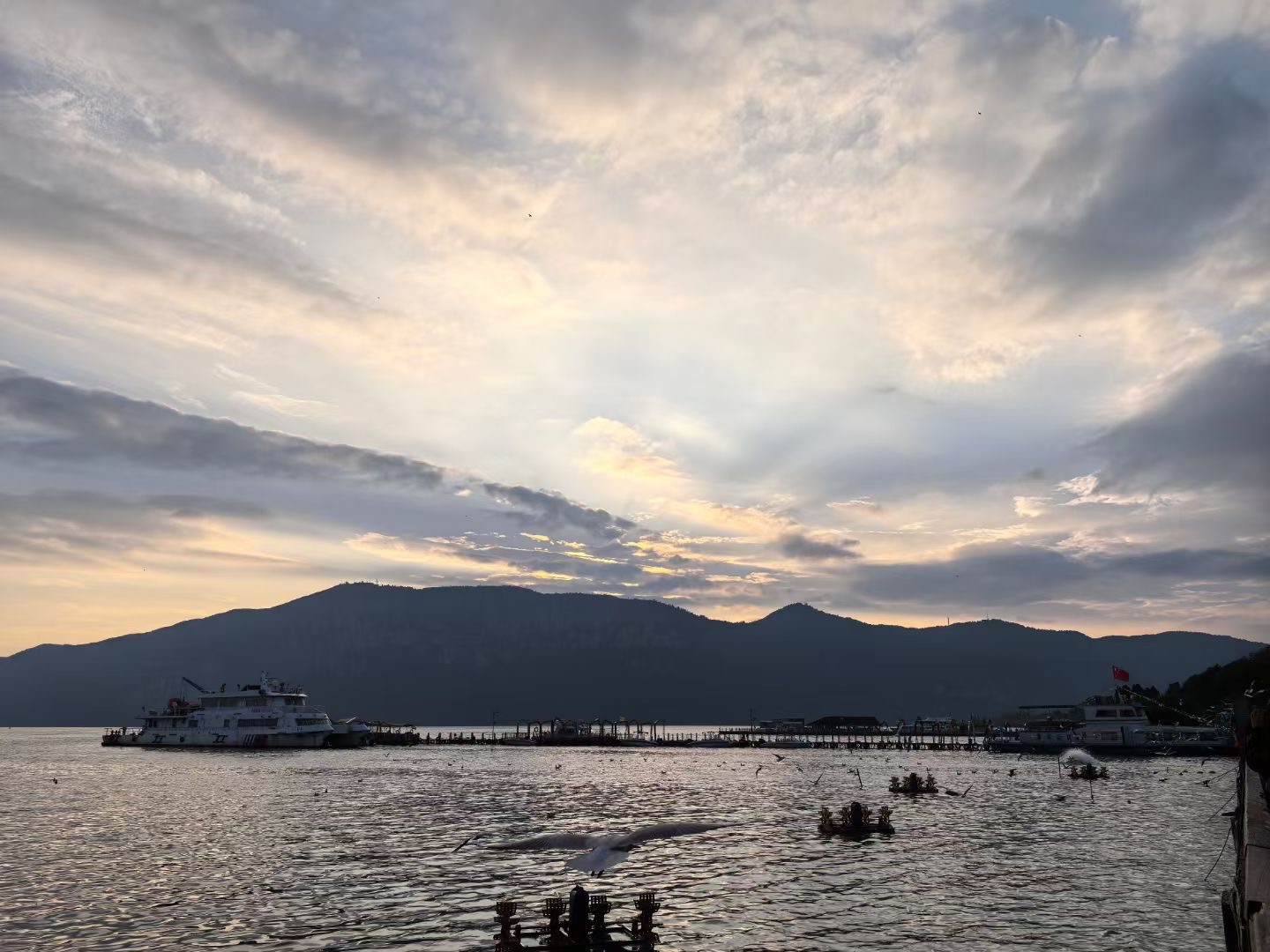 DAY1 Kunming airport pick-up--check in to the hotel (about 30km, 50min) (near Dianchi Lake)
🔸Experience: (seasonal only) Feeding seagulls at Dianchi Lake
🔸Today's reference hotel: Kunming PAPMAN Hotel/Kunming R&F Wanda Vista Hotel/Kunming Center Crowne Pl