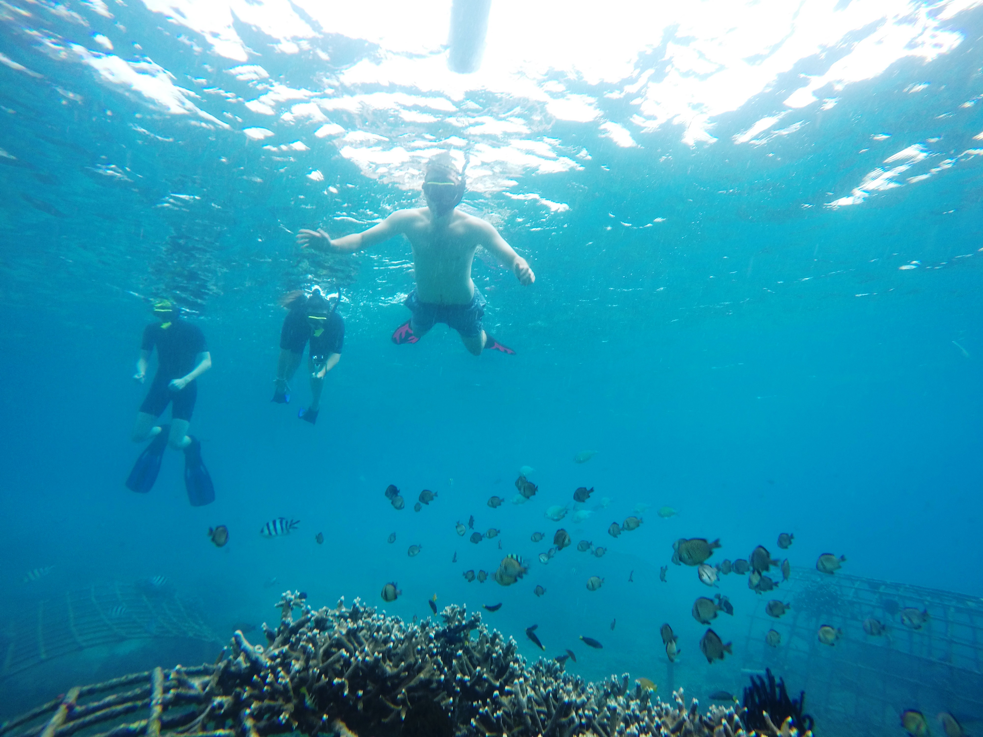 Затонувшие тайны: сноркелинг у затонувшего корабля в Туламбене с PADI 5* Центром