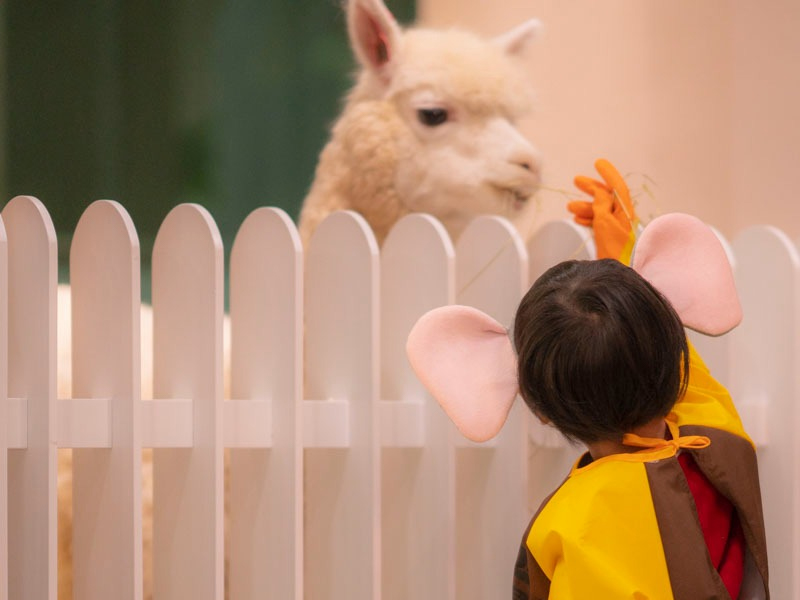 Lollypet萌寵樂園（萌寵來自深圳野生動物園）