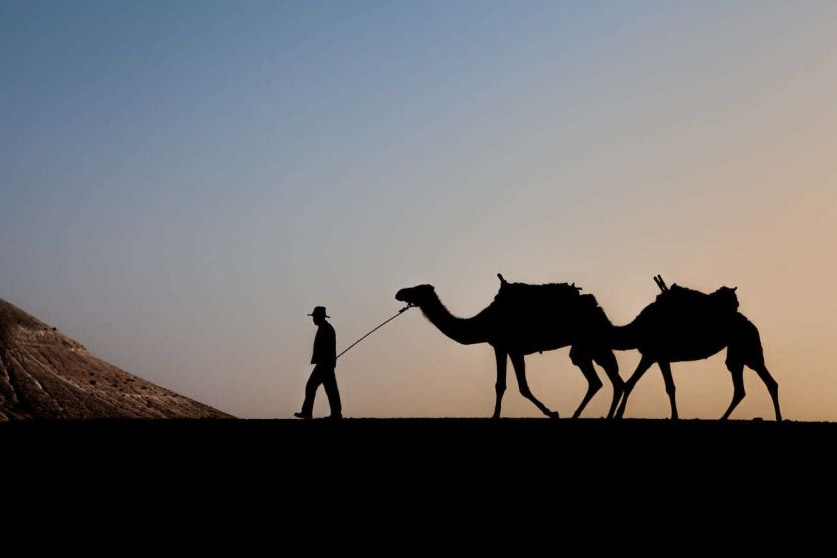 Agafay Desert Sunset Camel Ride from Marrakech