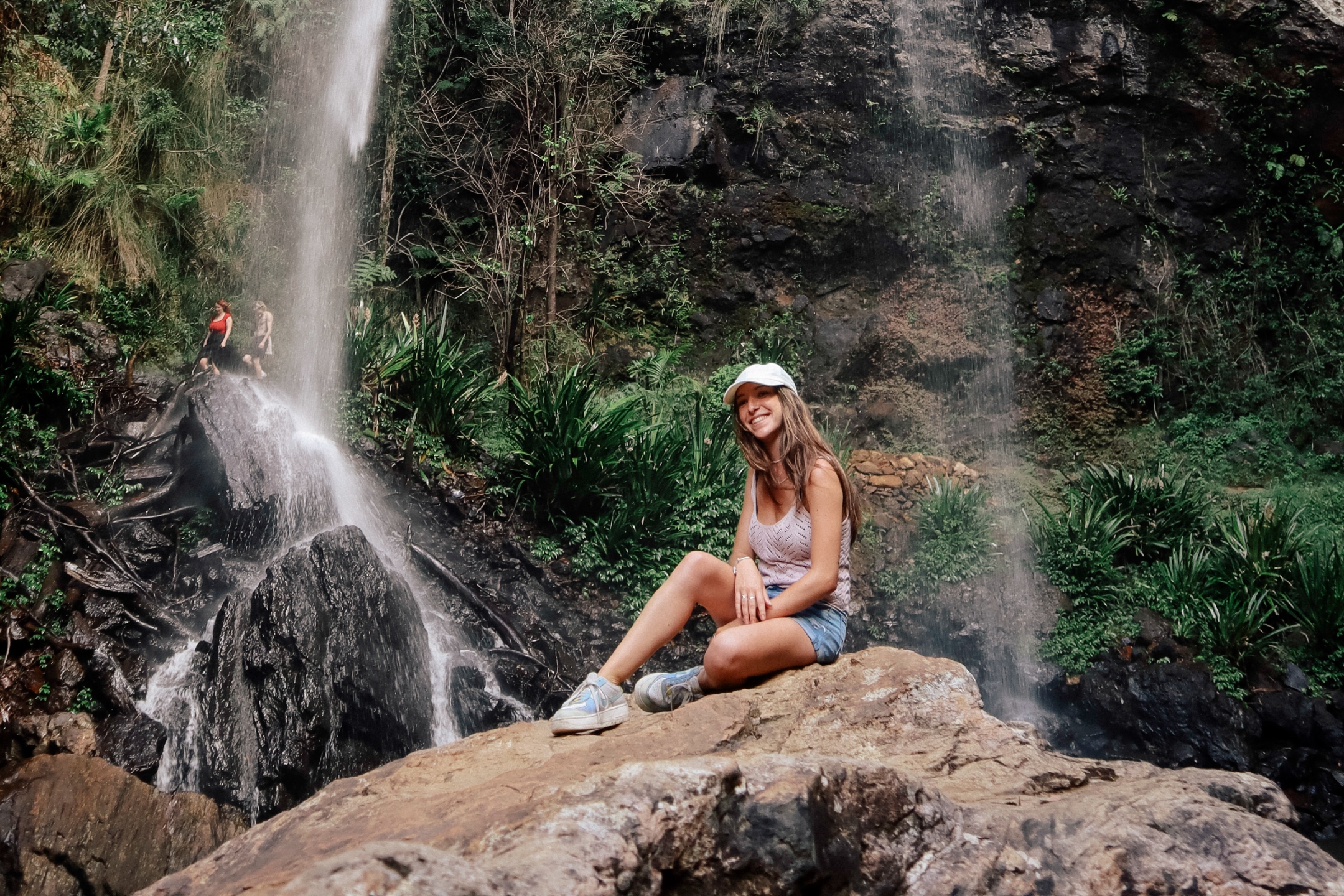 Springbrook Rainforest Day Tour: Koalas, Waterfalls & Lookouts