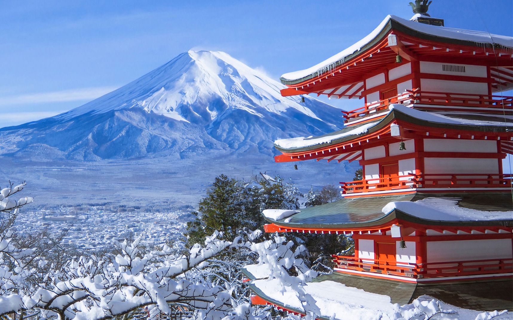 [One-Day Tour Exploring the Magnificent Views of Mount Fuji] Arakurayama Sengen Park & Lake Kawaguchi Oishi Park & Oshino Hakkai & Instagram-Famous Lawson & Nikawa Tokeiten (Departure from Tokyo)