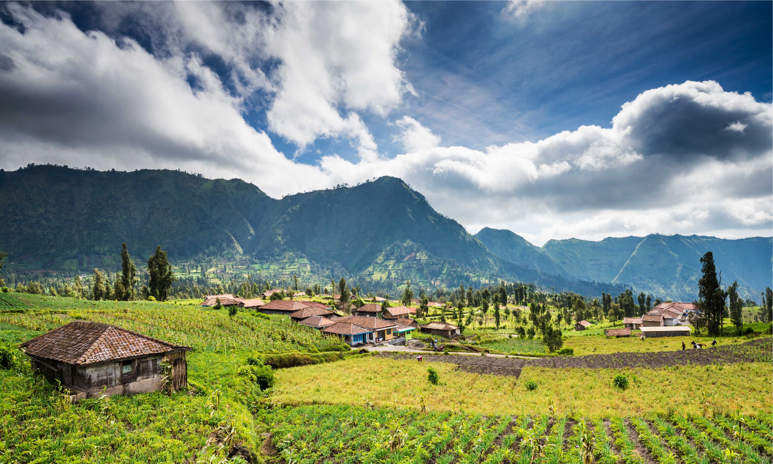 3D2N Mount Bromo and Ijen Crater Tour from Bali