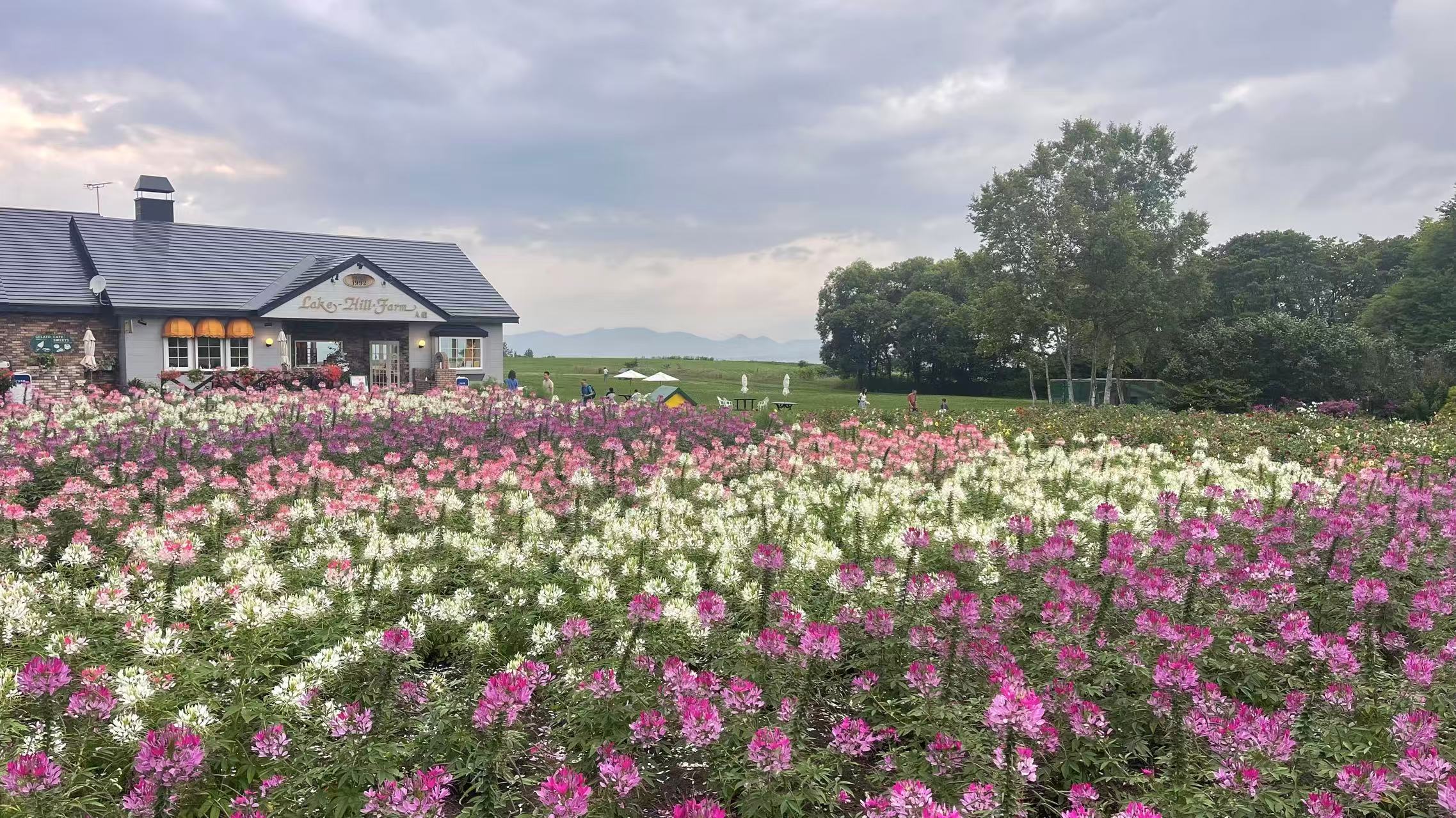 田園牧場,怡然自得。 田園牧場,怡然自得。