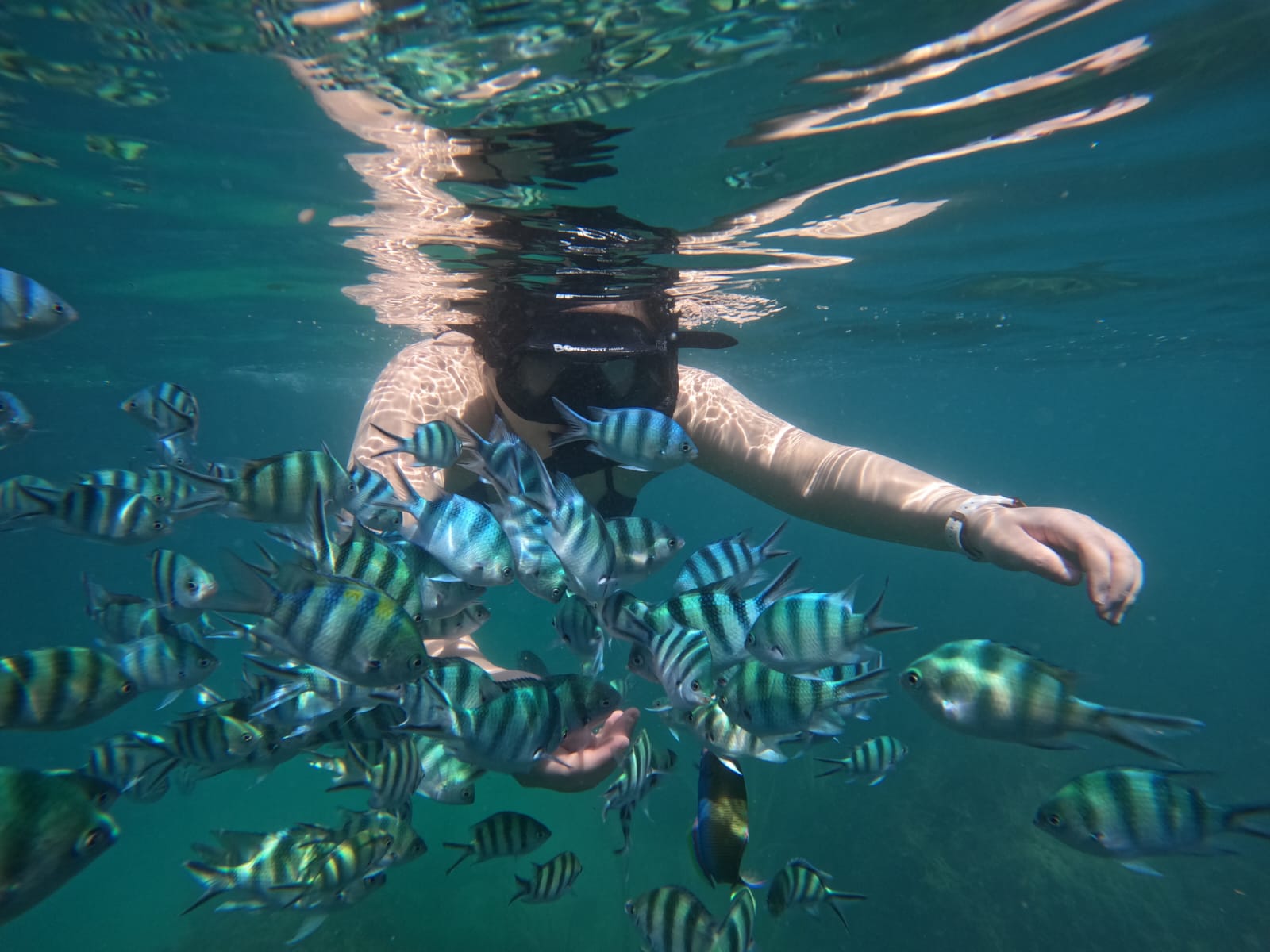Snorkeling Tour at Bintan Resort Area by Taxi Bintan Island