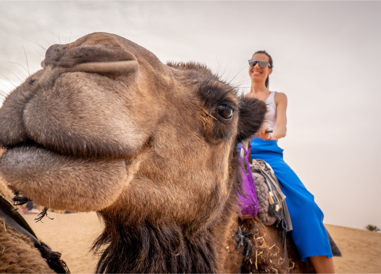 4-Days Desert Merzouga Tour To Marrakech From Fes