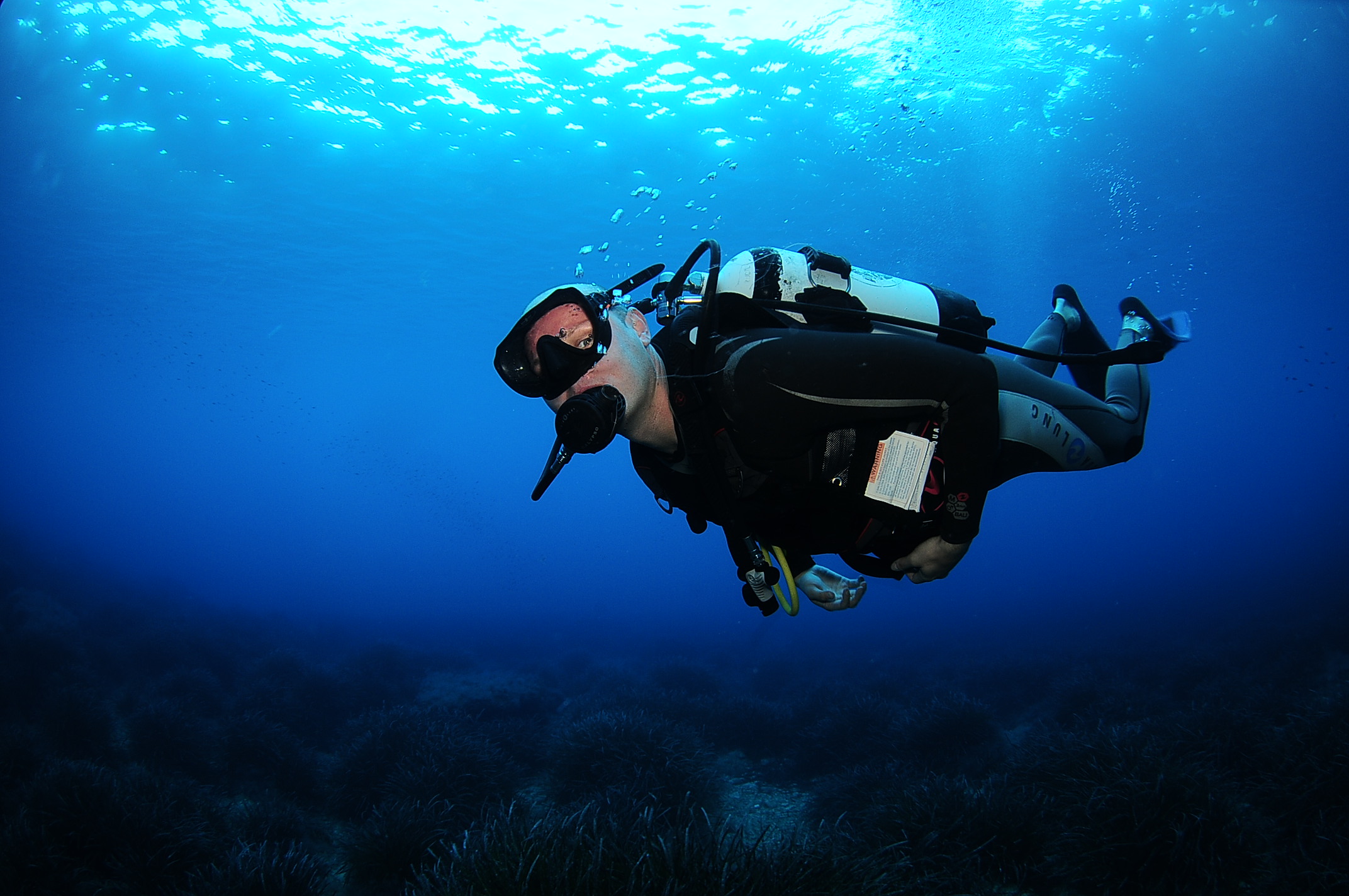 探索伊維薩島的潛水魔法：與 PADI 5*Center 一起進行開放水域冒險