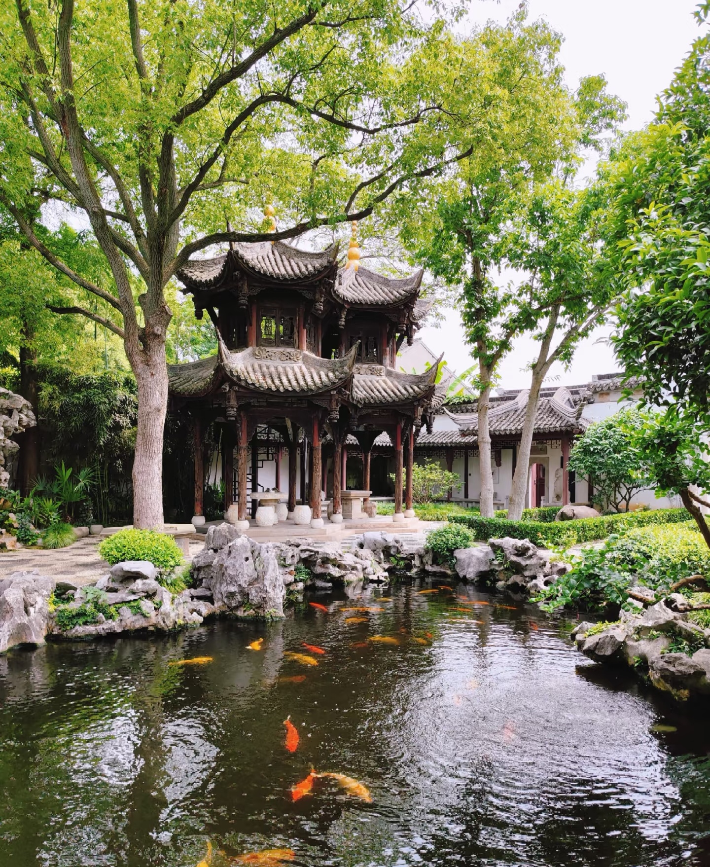 朱家角水鄉古鎮半日遊（上海出發）
