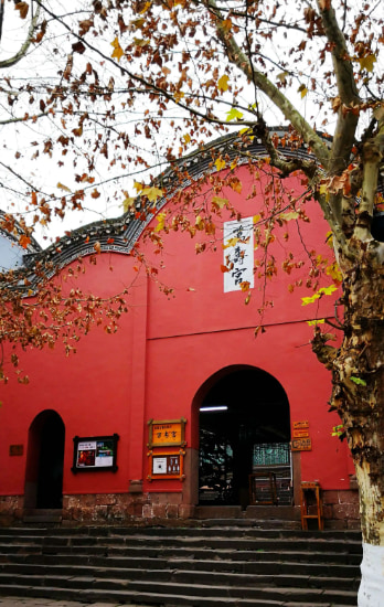 湖南張家界天門洞  “天國的階梯”和 72 座神奇塔之旅（中/英文導覽+私家團）