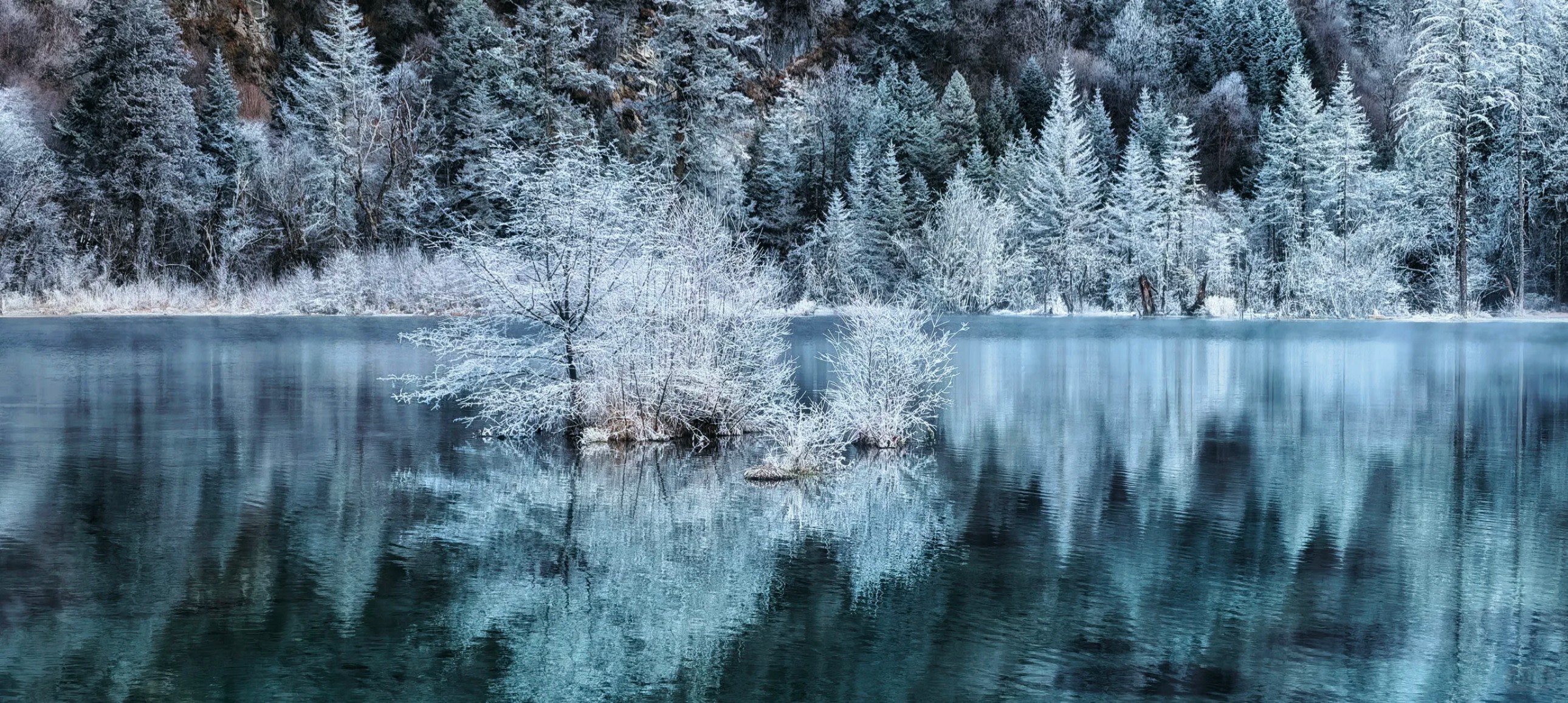 湖水如鏡，倒映著岸上掛滿霜雪的樹木，營造出一種空靈而靜謐的冬日意境