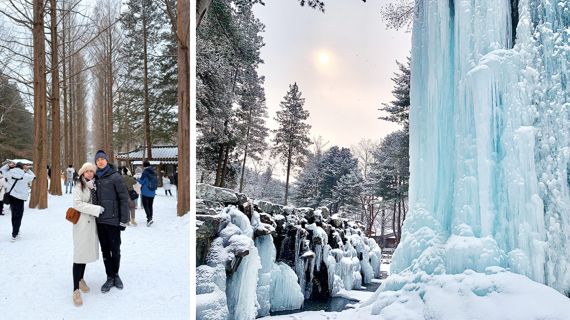 ❄️冬天的南怡島，就像走進了一個雪花球！
