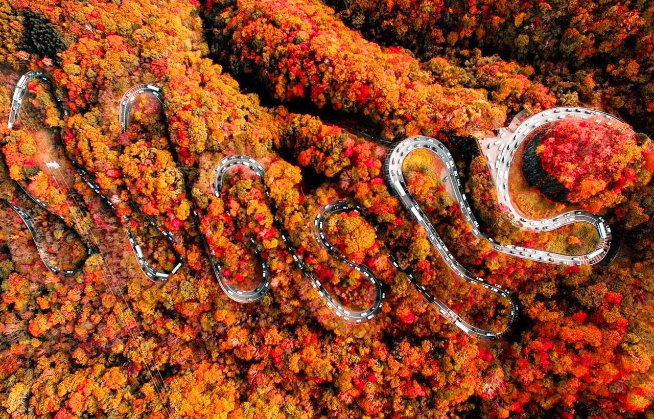 伊呂波山道是“日本的道路百選”之一 伊呂波山道是“日本的道路百選”之一