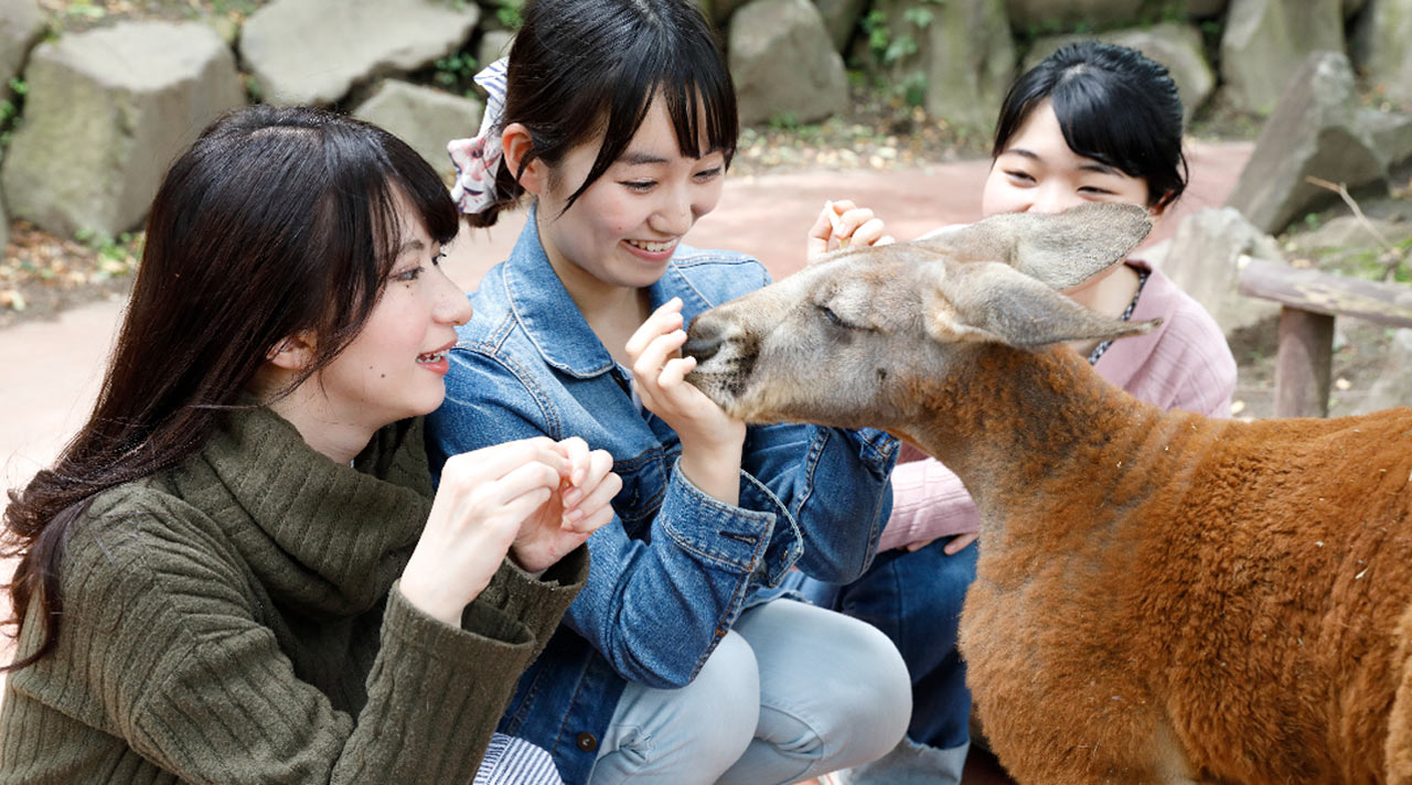 【親子推薦】大分一日遊｜由布院漫步, 金鱗湖晨光, 九州自然動物園, 別府海&灶地獄｜福岡出發
