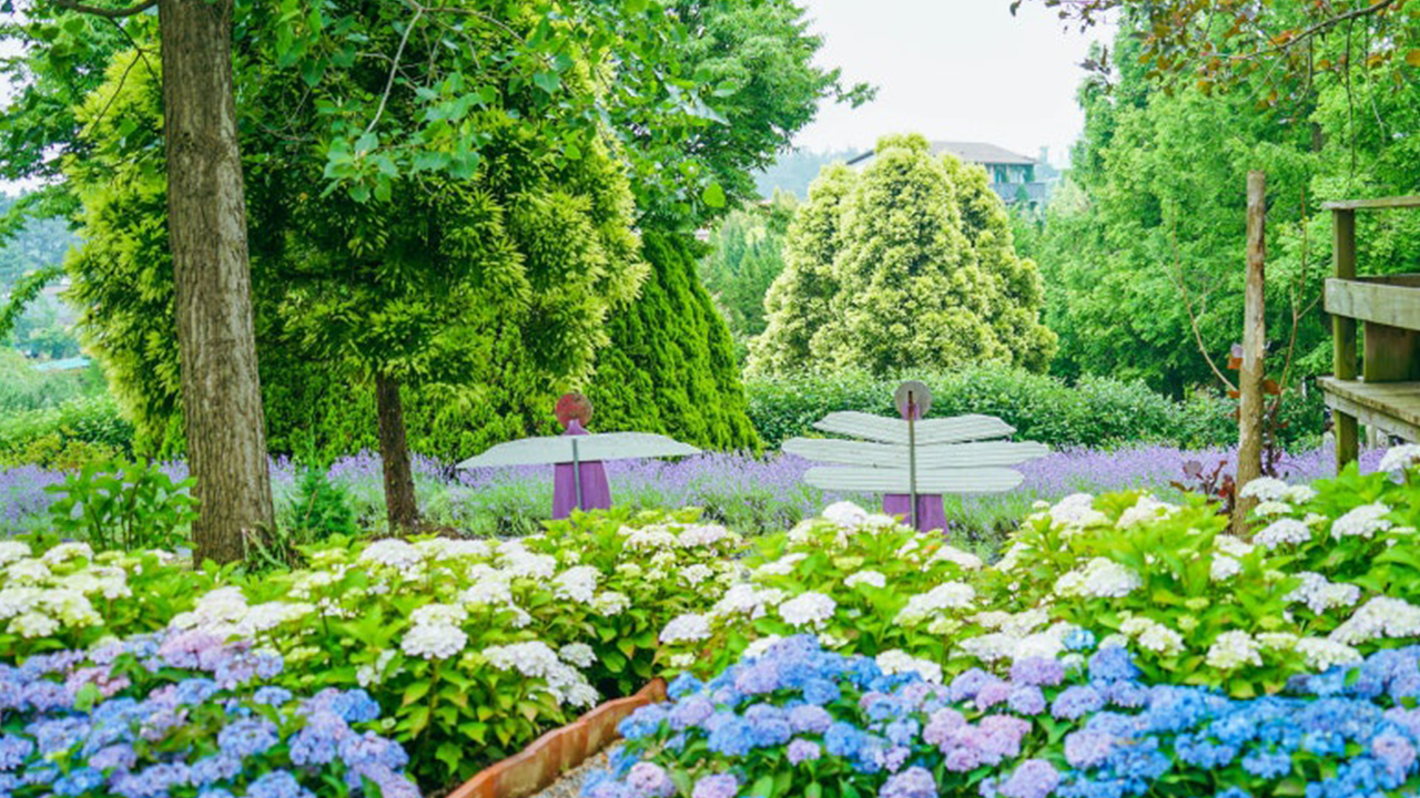 在柔和的色彩環繞下，時間彷彿慢了下來，只剩下夏日的光影靜靜流淌。