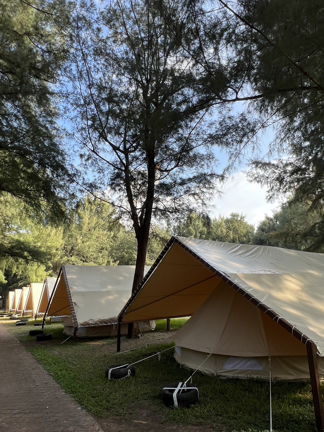 Miaoli Camping: Shanwuling - Nordic bell-shaped tent-free camping experience