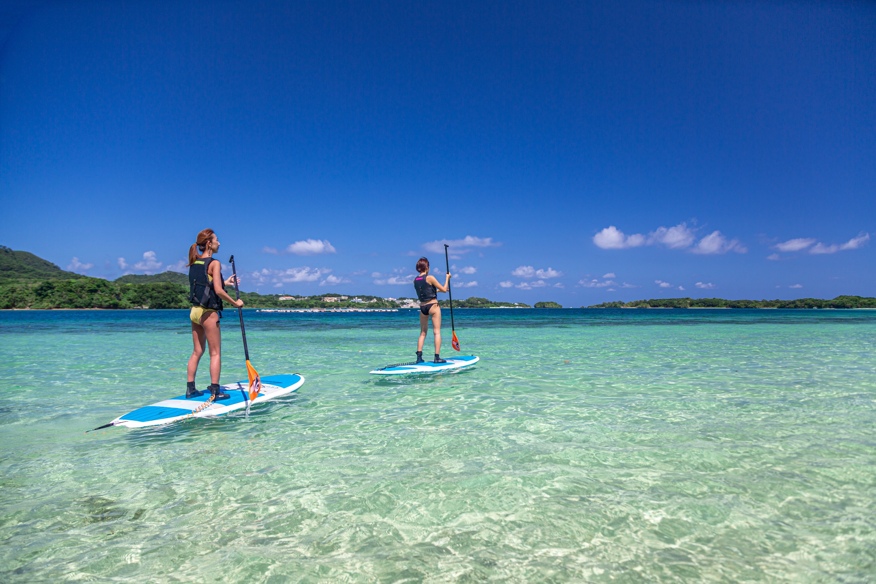 Ishigaki Island/1 day Kabira Bay SUP/Canoe & Blue Cave Snorkeling Experience (Okinawa)