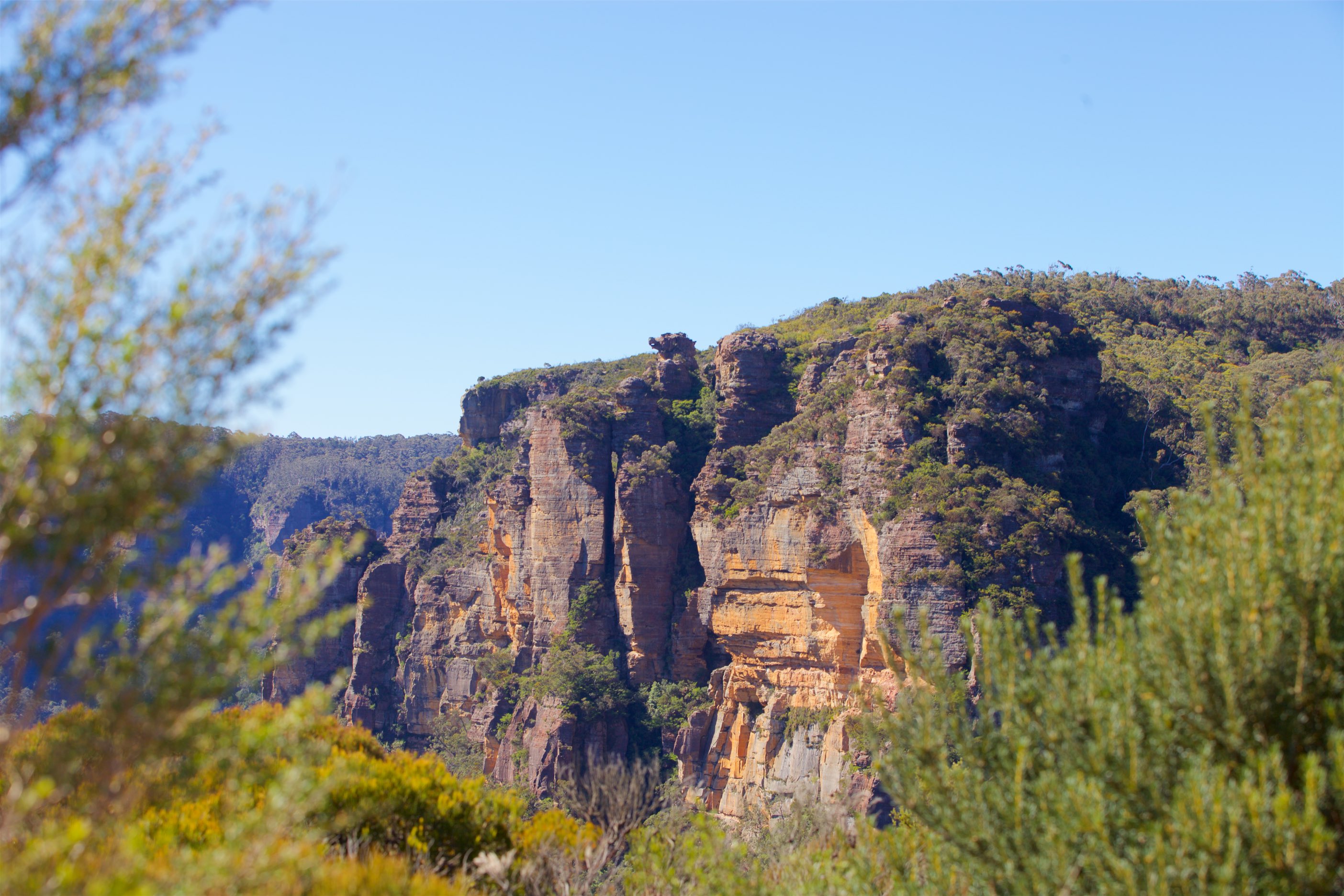 Blue Mountains Private SUV Day Tour