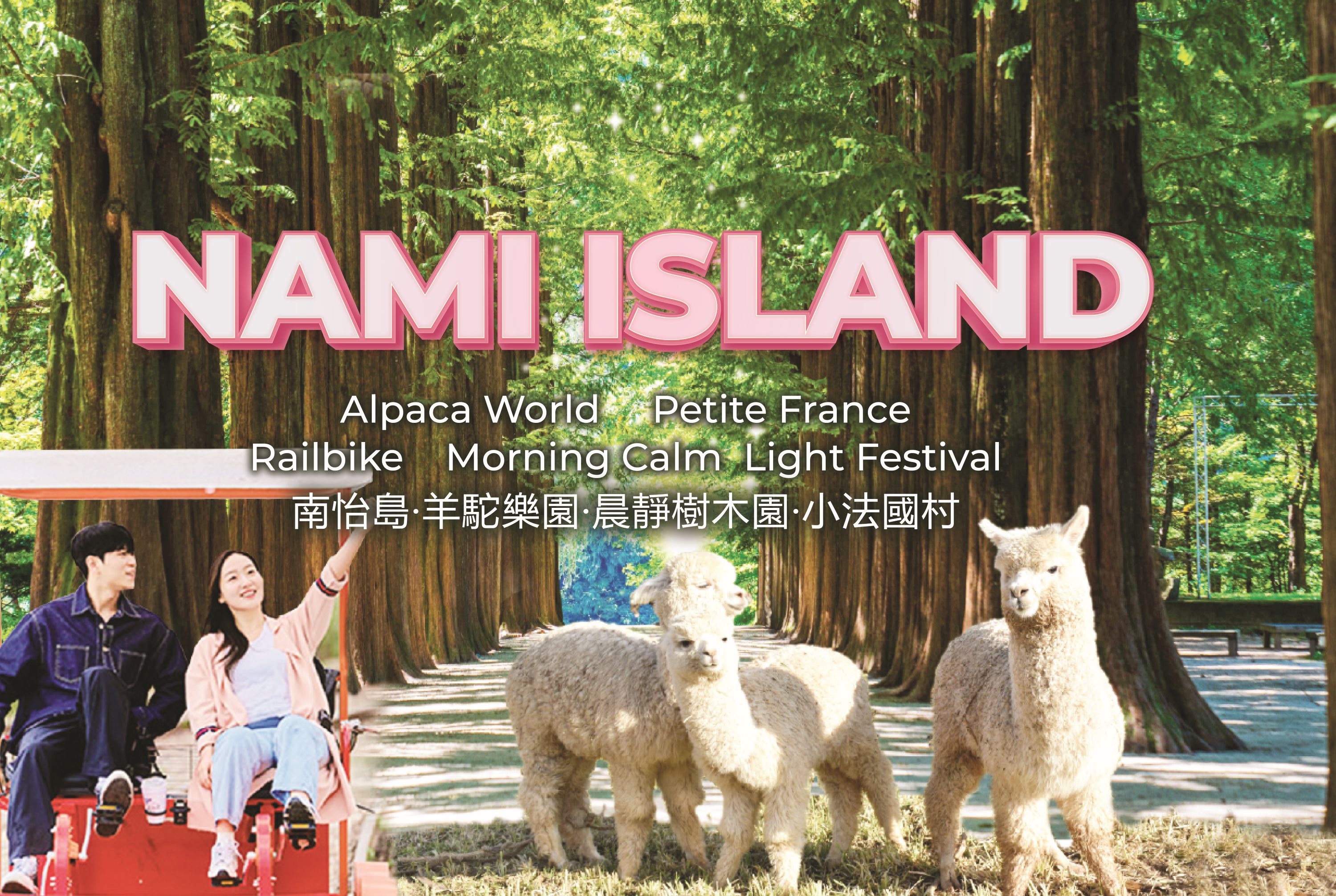 南怡島 (Nami Island) & 伊甸園冰雪世界 (Eobi Ice Valley) & 全景場 (Panorama Field) &  晨靜樹木園 (Morning Calm) 旅遊