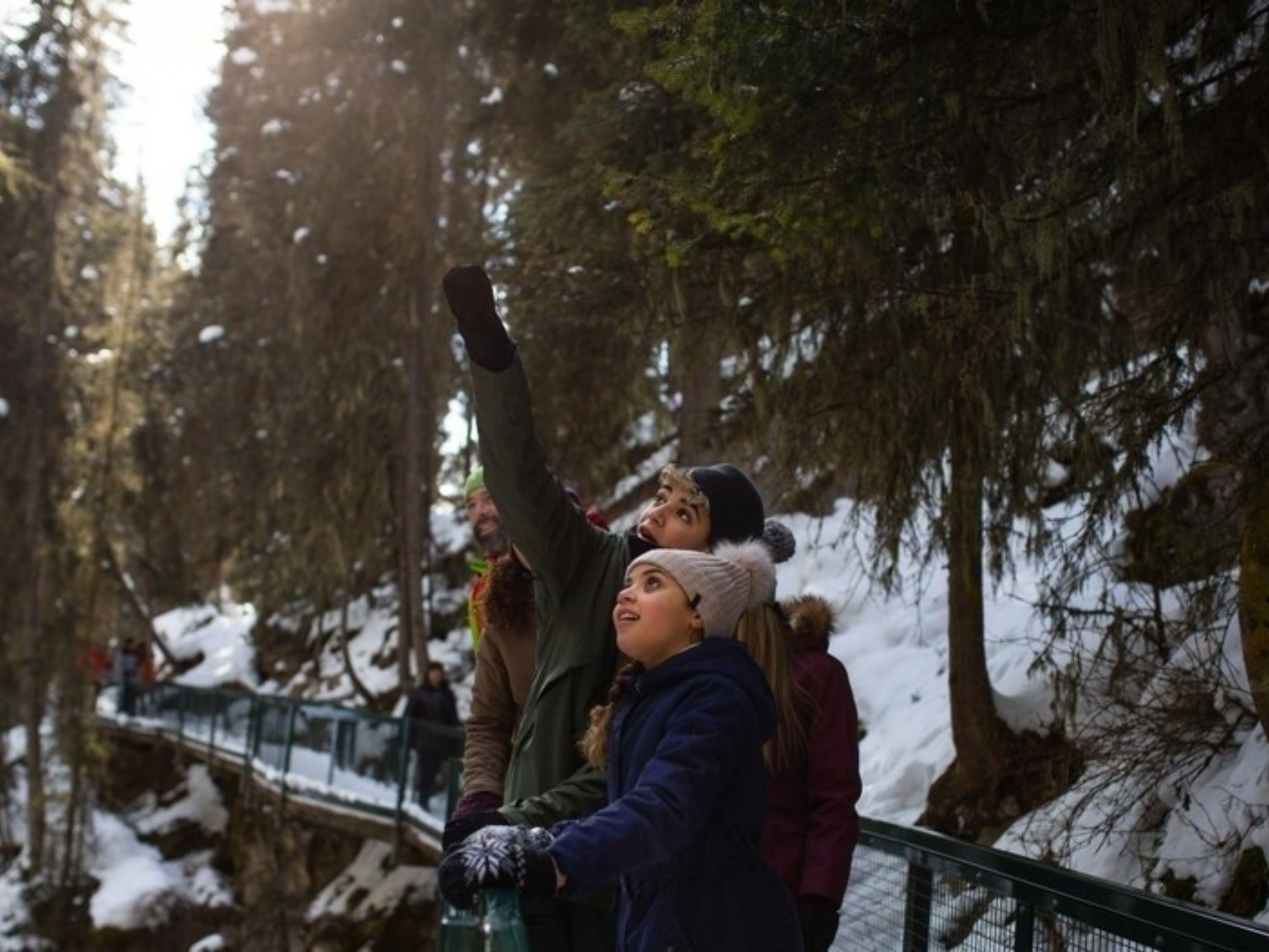 班夫強斯頓峽谷之旅 (Johnston Canyon Tour in Banff)