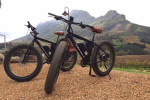 Vineyard & Mountain E-Bike Tour