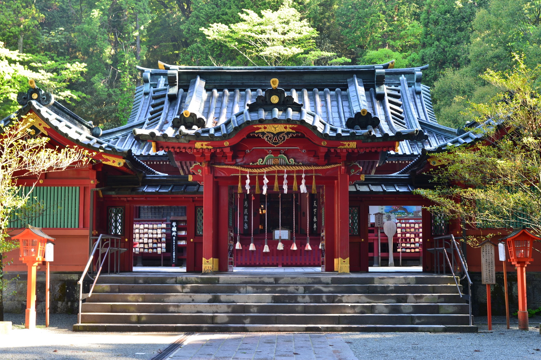 下田公園繡球花祭 & 三島大吊橋 & 大室山纜車 & 修善寺溫泉 & 城崎海岸 & 箱根神社二日遊 (入住觀海絕景露天溫泉酒店)
