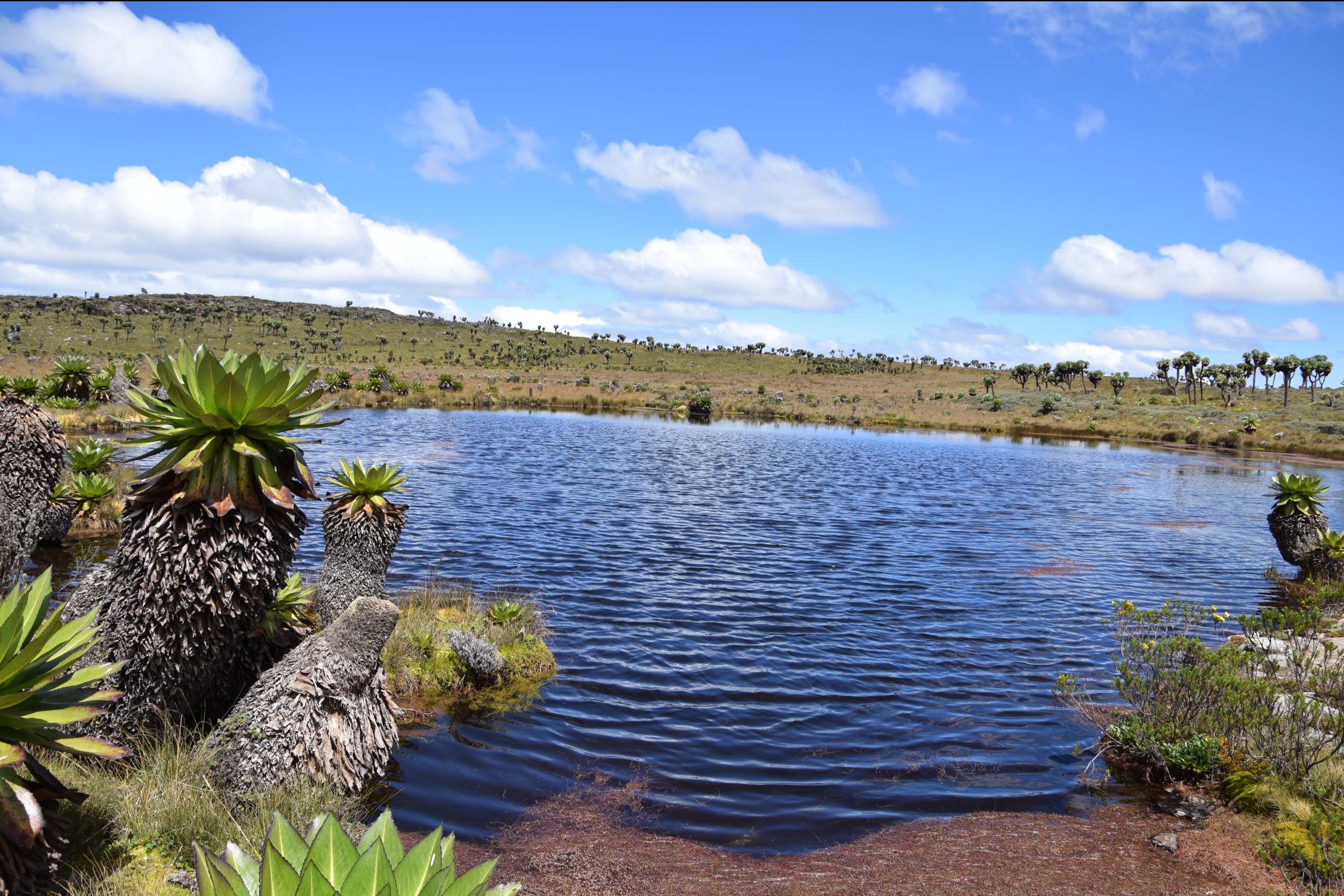 2-Day Kenya Hiking Trekking: Mount Kipipiri and Seven Ponds Aberdare