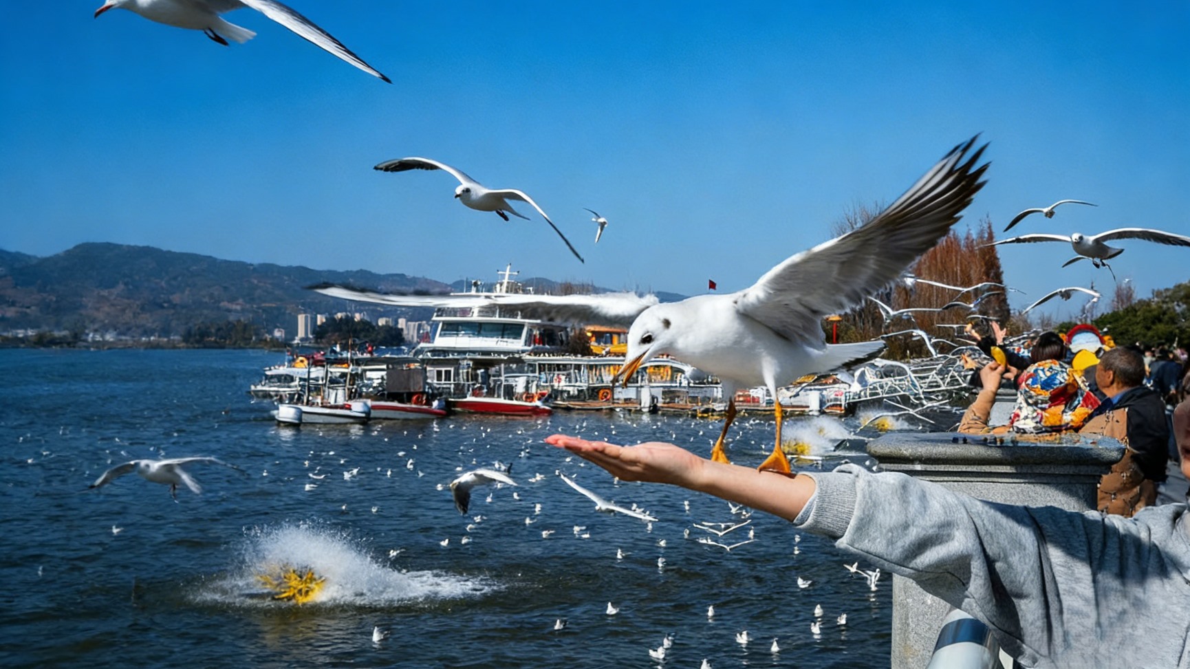 滇池湖面遼闊,湖水清澈湛藍,在陽光的照耀下波光粼粼,宛如一面巨大的鏡子鑲嵌在雲貴高原之上。湖的周圍群山環繞,西山猶如一位睡美人靜臥在滇池之畔,與湖水相互映襯,構成了一幅山環水抱、天光雲影的美麗畫卷,讓人彷彿置身於仙境之中 滇池湖面遼闊,湖水清澈湛藍,在陽光的照耀下波光粼粼,宛如一面巨大的鏡子鑲嵌在雲貴高原之上。湖的周圍群山環繞,西山猶如一位睡美人靜臥在滇池之畔,與湖水相互映襯,構成了一幅山環水抱、天光雲影的美麗畫卷,讓人彷彿置身於仙境之中