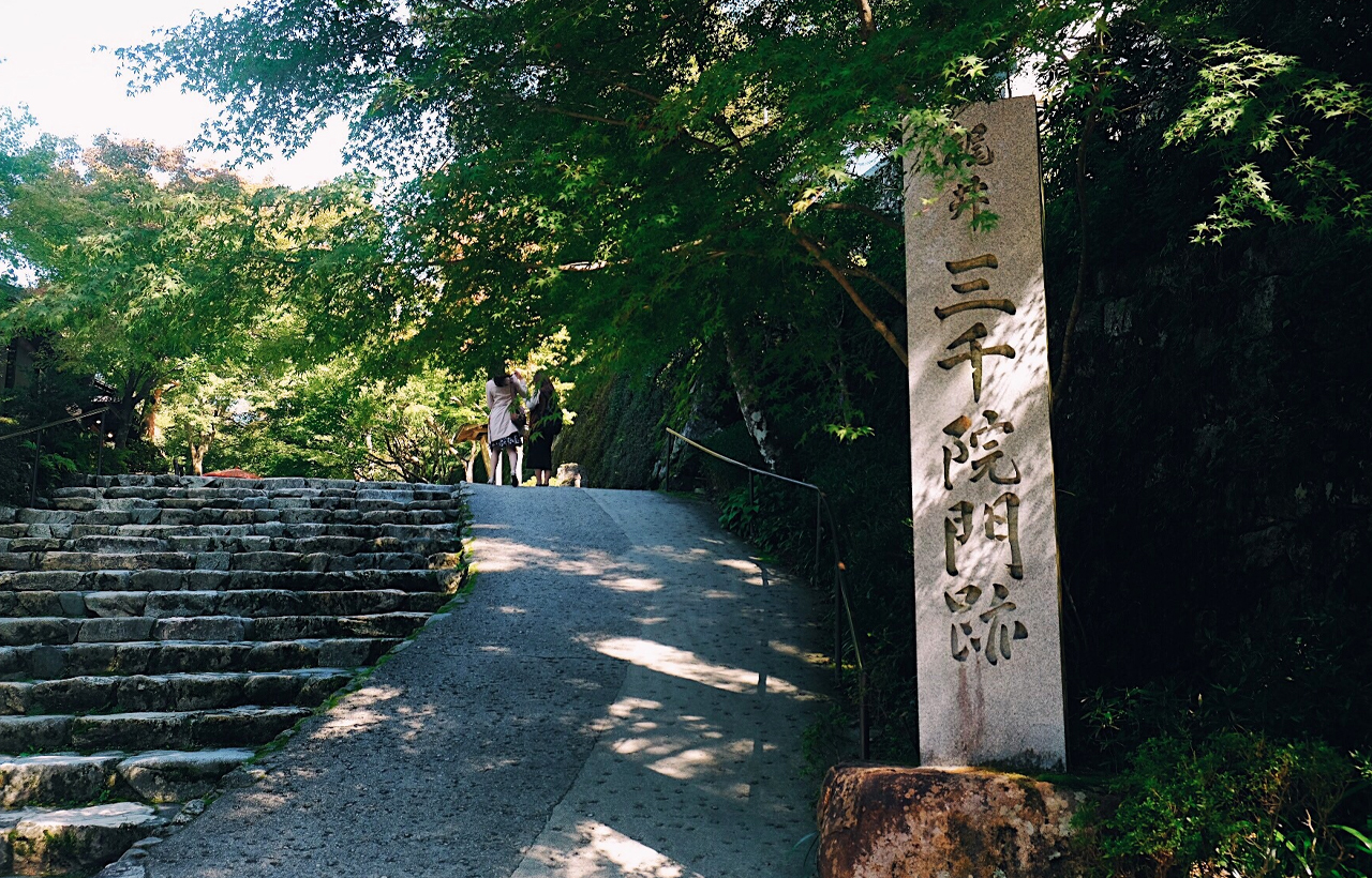 京都寶藏之旅 | 三千院（6/7月可賞繡球花） & 嵐山深度悠閒一日遊，嵯峨野小火車、竹林漫步、足湯溫泉暖身心|大阪或京都上下車