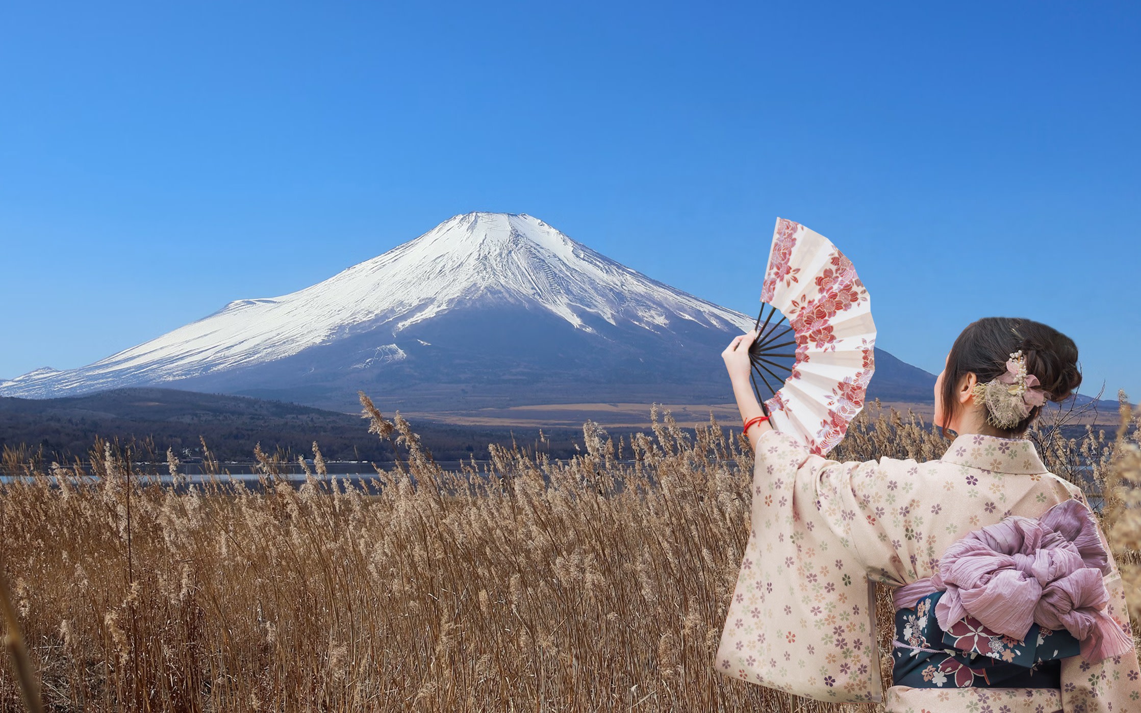 [Six Popular Spots] Mount Fuji Day Trip | Lake Yamanaka Swan Feeding, Oshino Hakkai, Lake Kawaguchi, Arakurayama Sengen Park (Departure from Tokyo/Shinjuku) with Snack Included