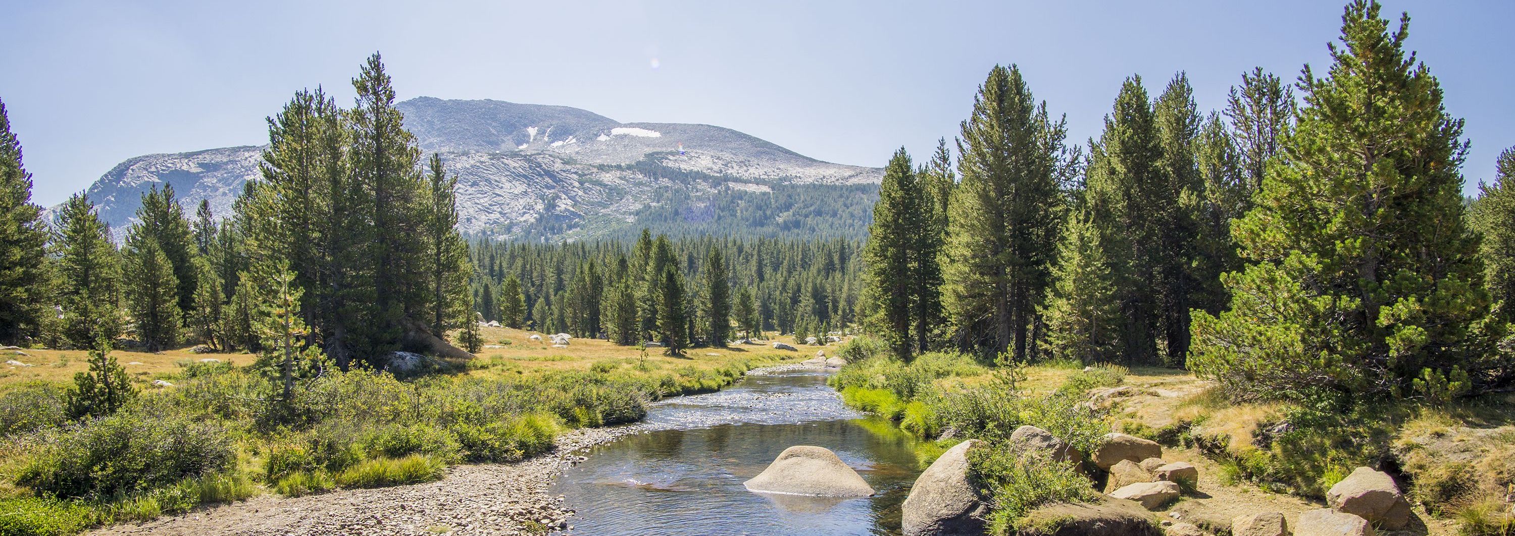 一生必去】优胜美地国家公园一日游（旧金山出发） | funBooky
