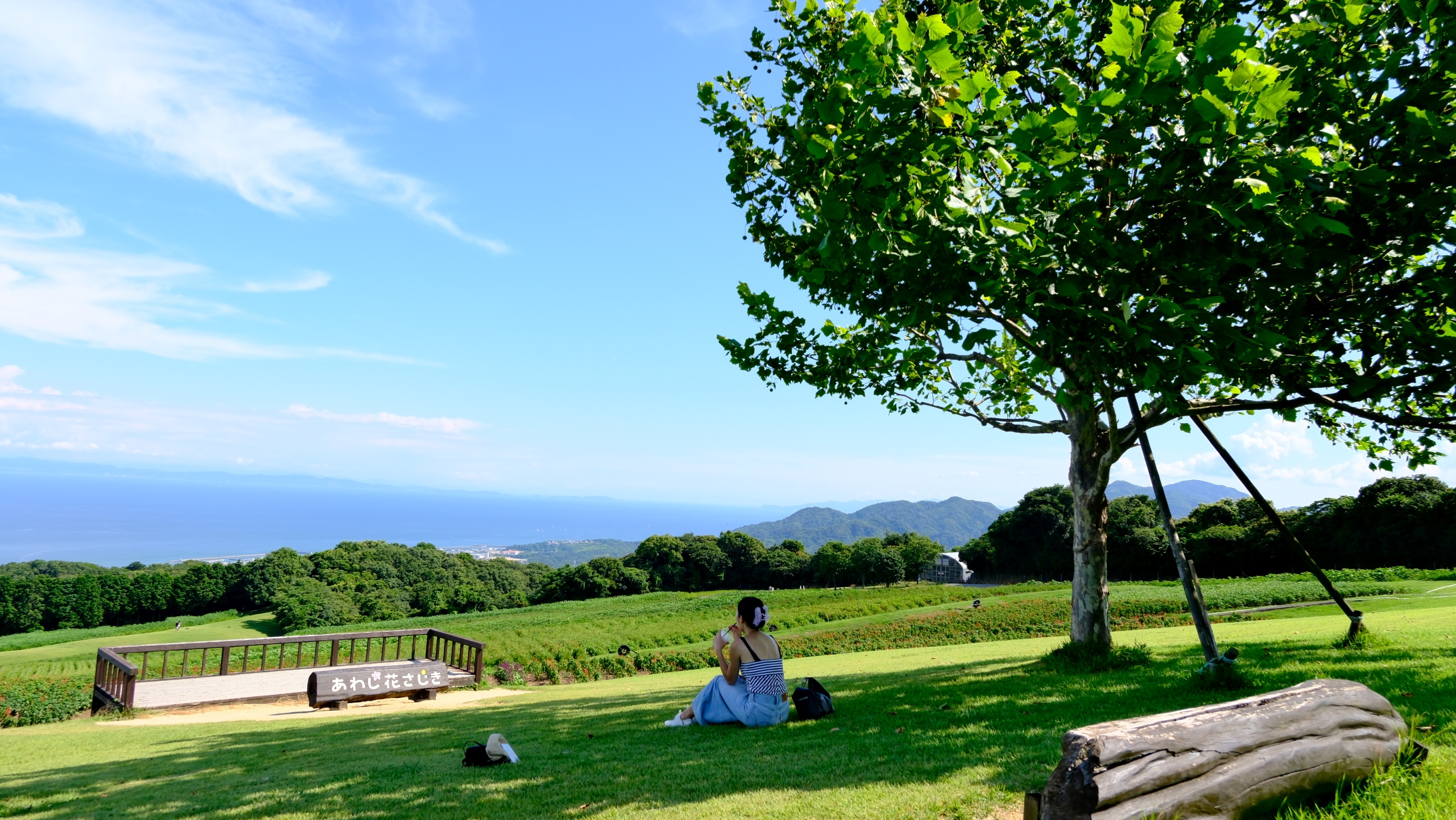 "One-day tour of Kansai's hidden secrets" Choose one of Awaji Island, Koyasan, or Kumano Kodo, depart from Shinsaibashi, Osaka