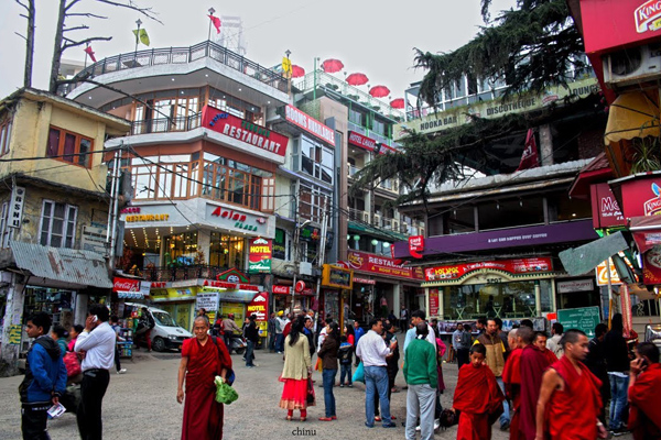 5 Day Dharamsala & Mcleodganj Tour with 14th Dalai Lama Temple