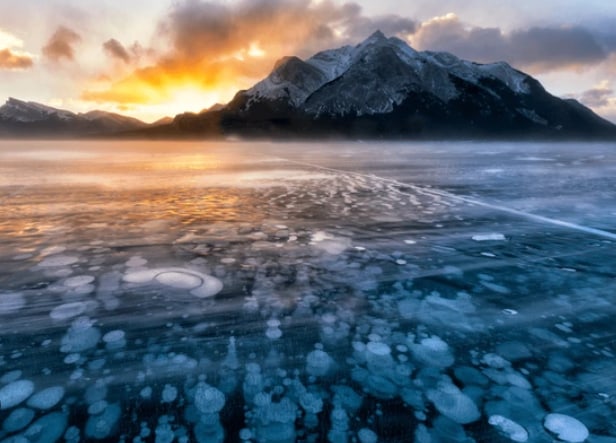 佩託湖和亞伯拉罕湖冰泡之旅 (Peyto Lake & Ice Bubbles at Abraham Lake Frozen Journey)