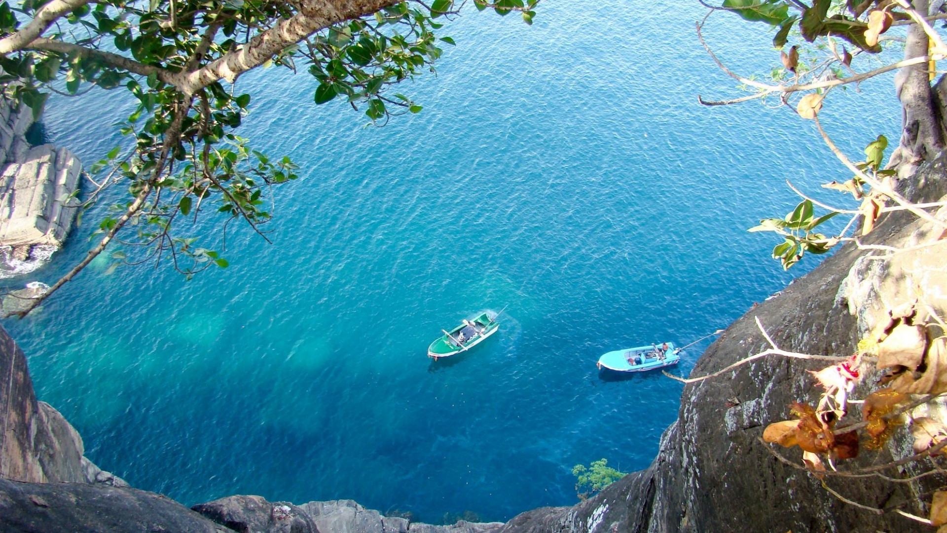 亭可馬里珊瑚島浮潛體驗