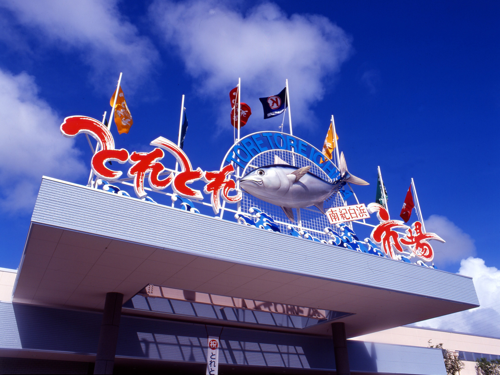 高野山 & 和歌山 & toretore市場 & 白良浜 & 三段壁千疊敷一日遊 (大阪/臨空城出發)