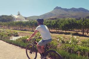 Guided bicycle tour through Stellenbosch