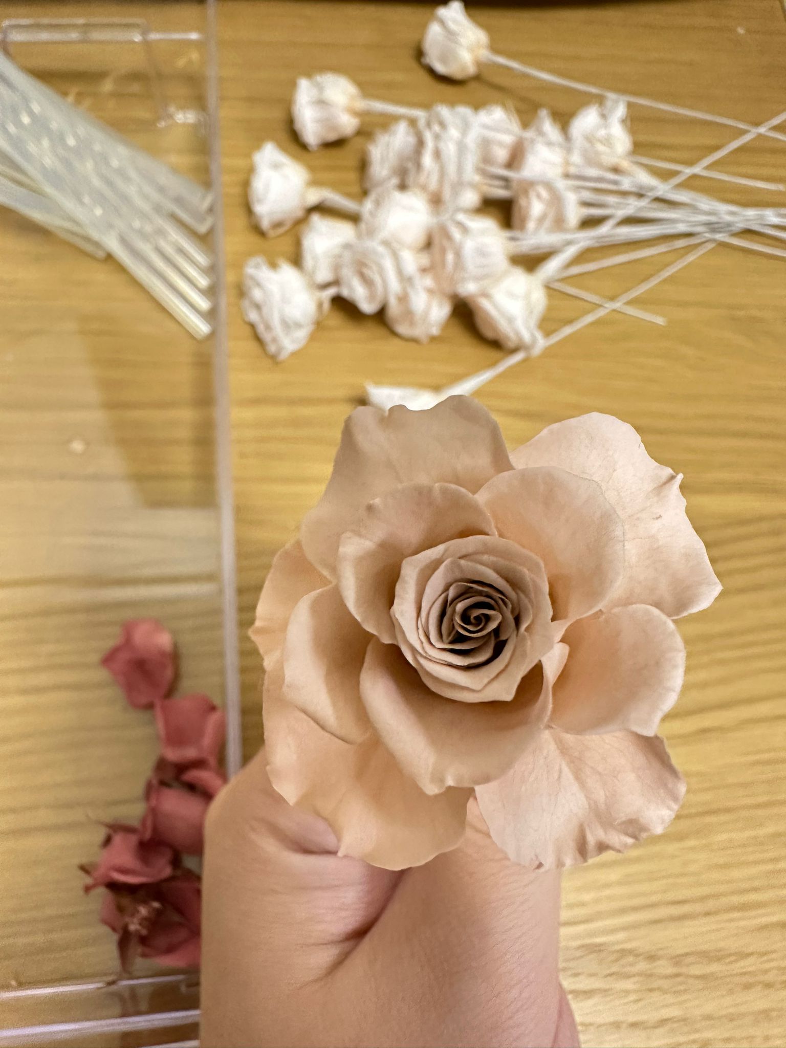 Hong Kong R florist - Homemade Sola Flowers and Preserved Flowers Experience Class | Glass Cover | Diffuser Bottle | Flower Box | Flower Basket | Flower Glass | AUBE Certificate Course | Lai Chi Kok