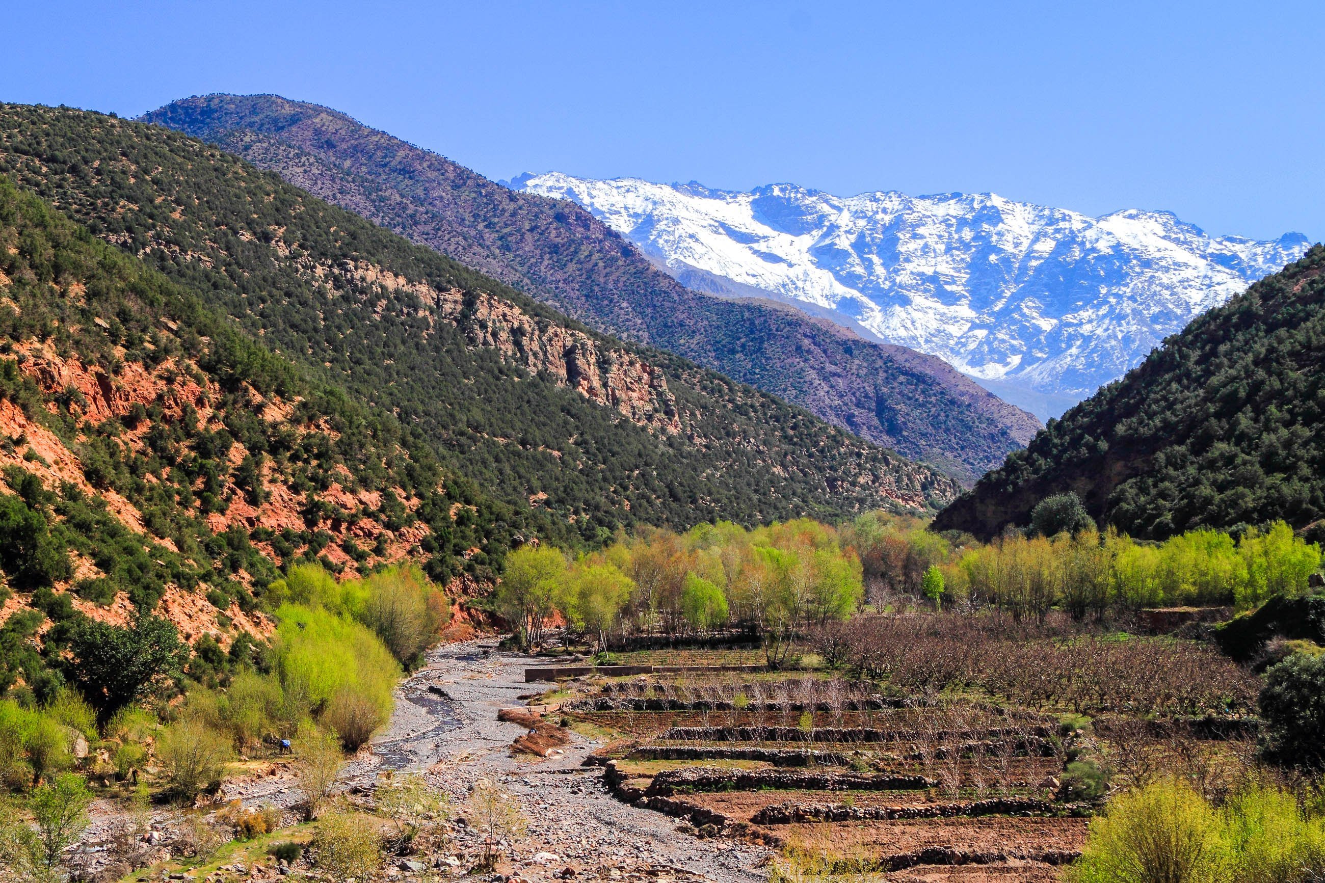 Discover the Beauty of Ourika Valley: A Day Trip Adventure