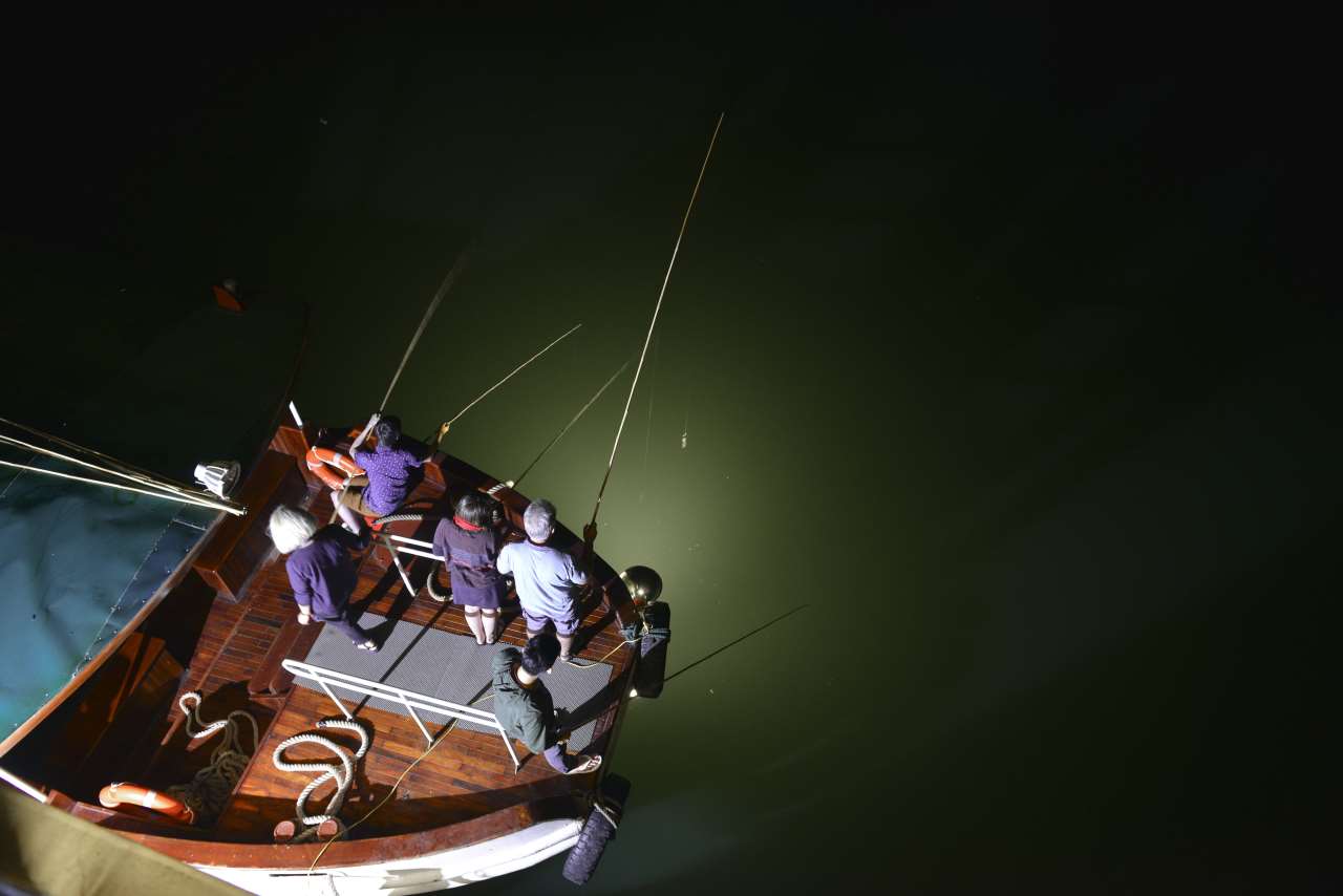 雅典娜豪華遊輪：3天2夜下龍灣 & 天堂島之旅