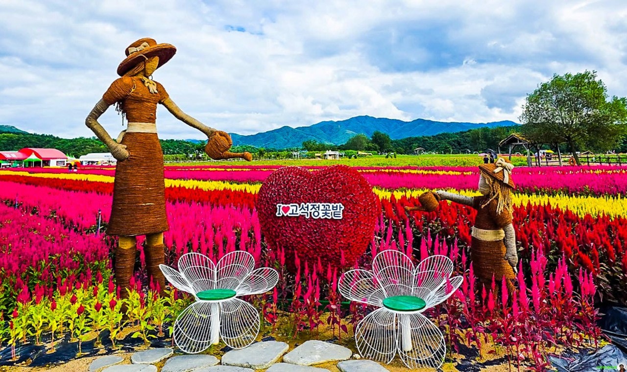 Hantangang Columnar Joint Road & Goseokjeong Garden Full-Day Discovery