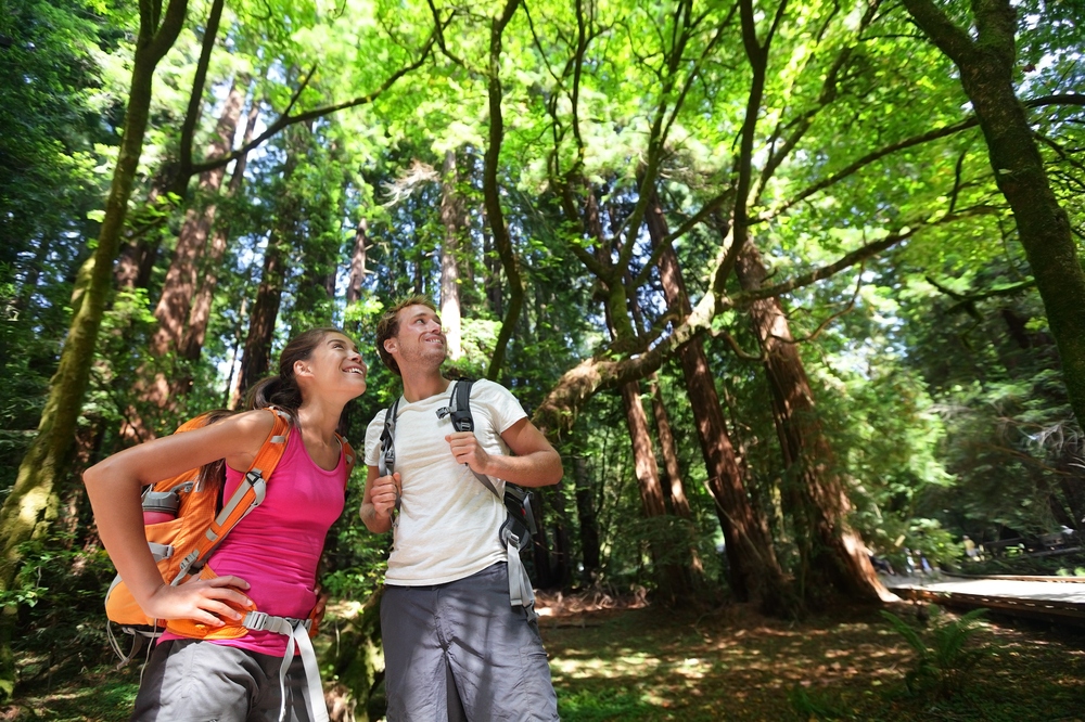 Muir Woods National Monument Tour from San Francisco