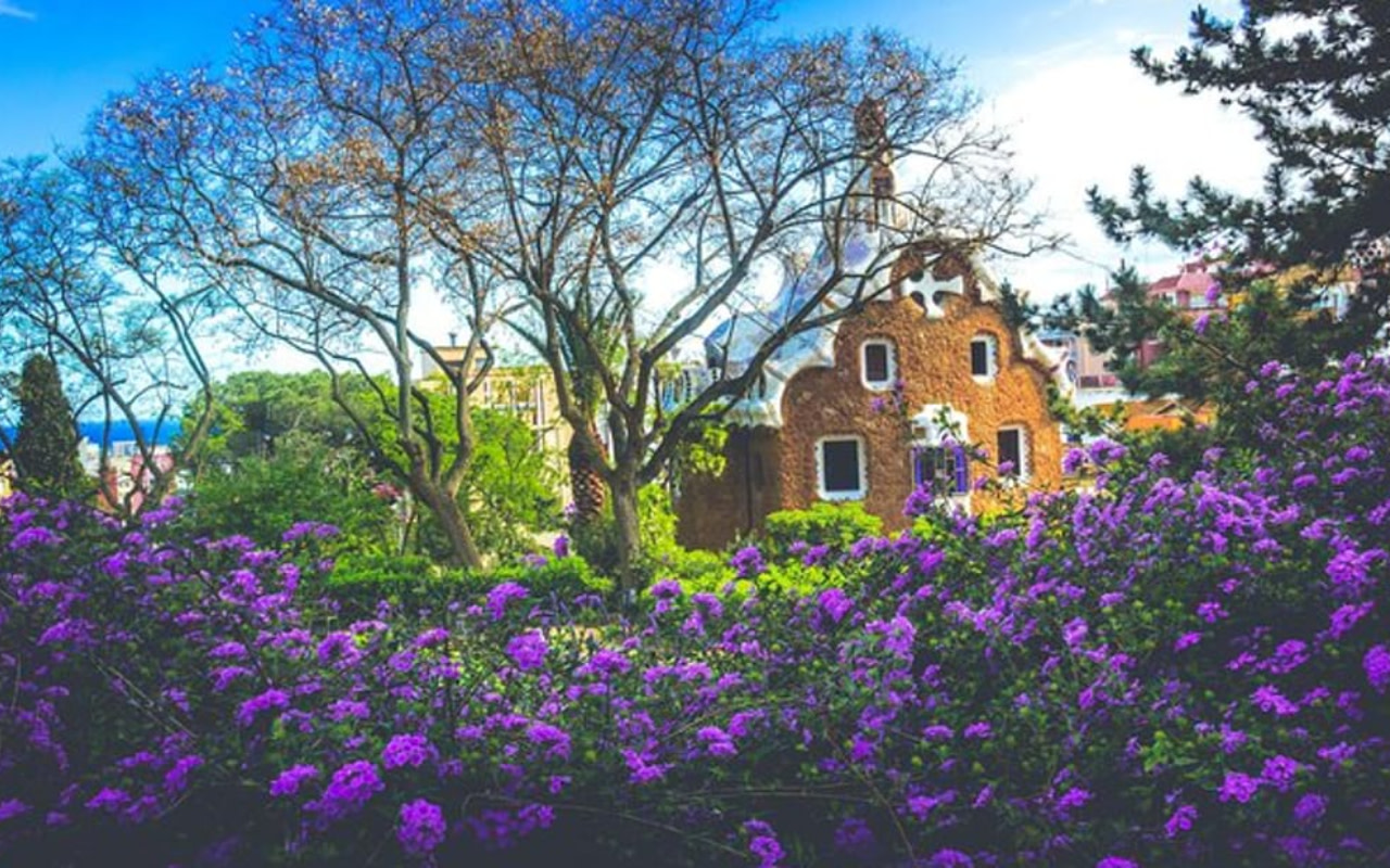 參加輕鬆愜意的小團導覽，暢遊巴塞隆納最著名的現代主義地標。