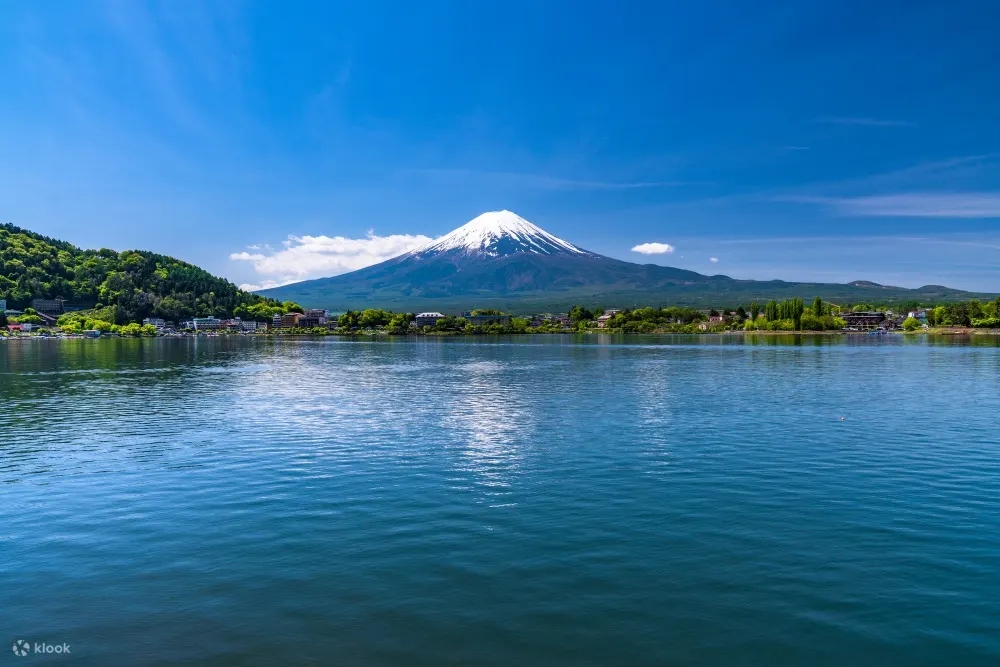 Mount Fuji Chartered One-Day Tour (Departing from Tokyo)
