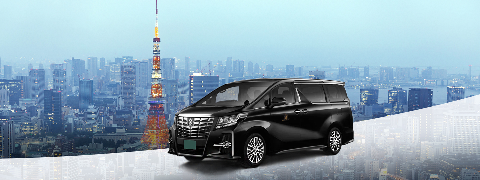Tokyo Departure: Car Rental with Driver to Tokyo/Yokohama/Kamakura - English-speaking Driver