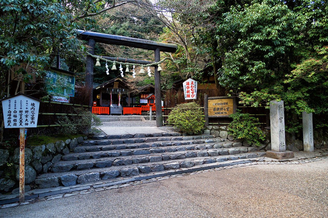 冬季限定｜京都嵐山&美山合掌村雪燈廊點燈一日遊｜大阪/京都出發