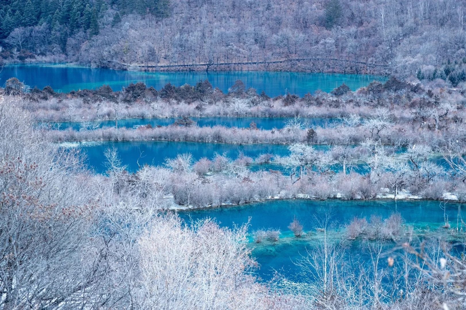 冬日的九寨溝，宛如夢幻的冰雪王國。雪花紛紛揚揚，為山林披上潔白盛裝，使山林更顯靜謐深邃。海子在雪的輕吻下，如一面面冰鏡，清澈神秘。瀑布則凝固成晶瑩剔透的冰雕，在陽光下熠熠生輝，彷彿時間都為之靜止，美得讓人心醉神迷。