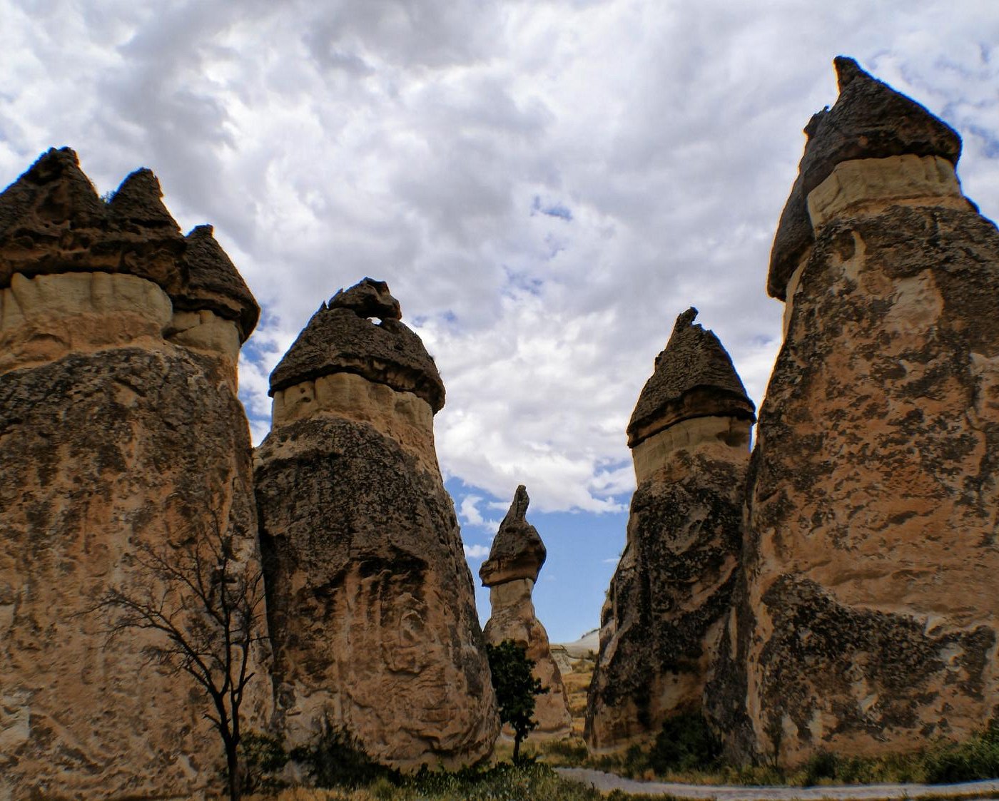 6 Days - Ephesus, Pamukkale, Antalya&Cappadocia / by Plane