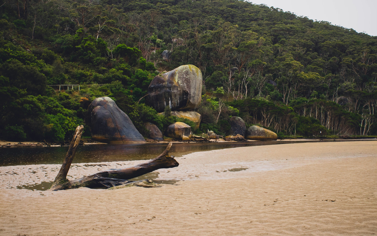 Wilsons Promontory Full-Day Private Nature Tour